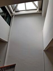 Charlton Park (D19), Terrace #593652121